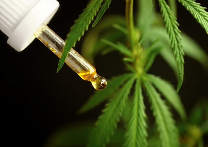 CBD olaj