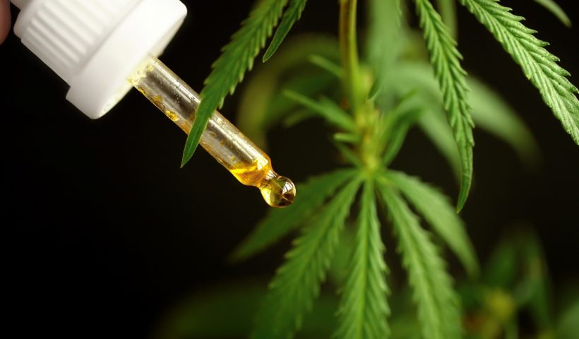 CBD olaj
