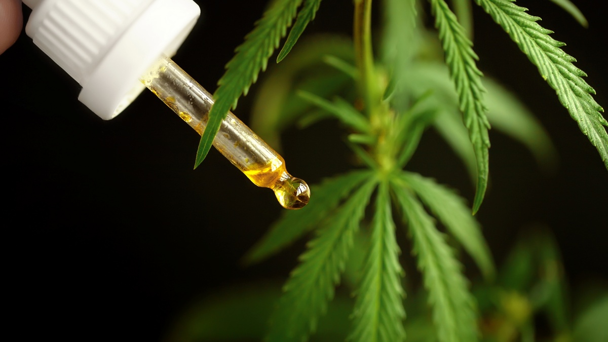 CBD olaj